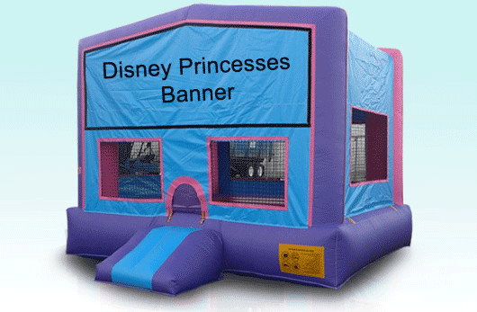 Disney Princess Banner Module Disney Princess Banner Module