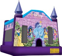 Disney Princesses Jumper Disney Princesses Jumper